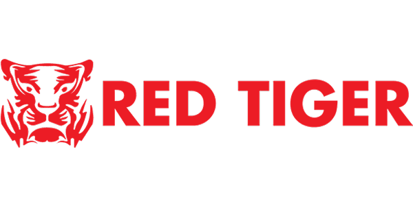 আরটি সফটওয়্যার